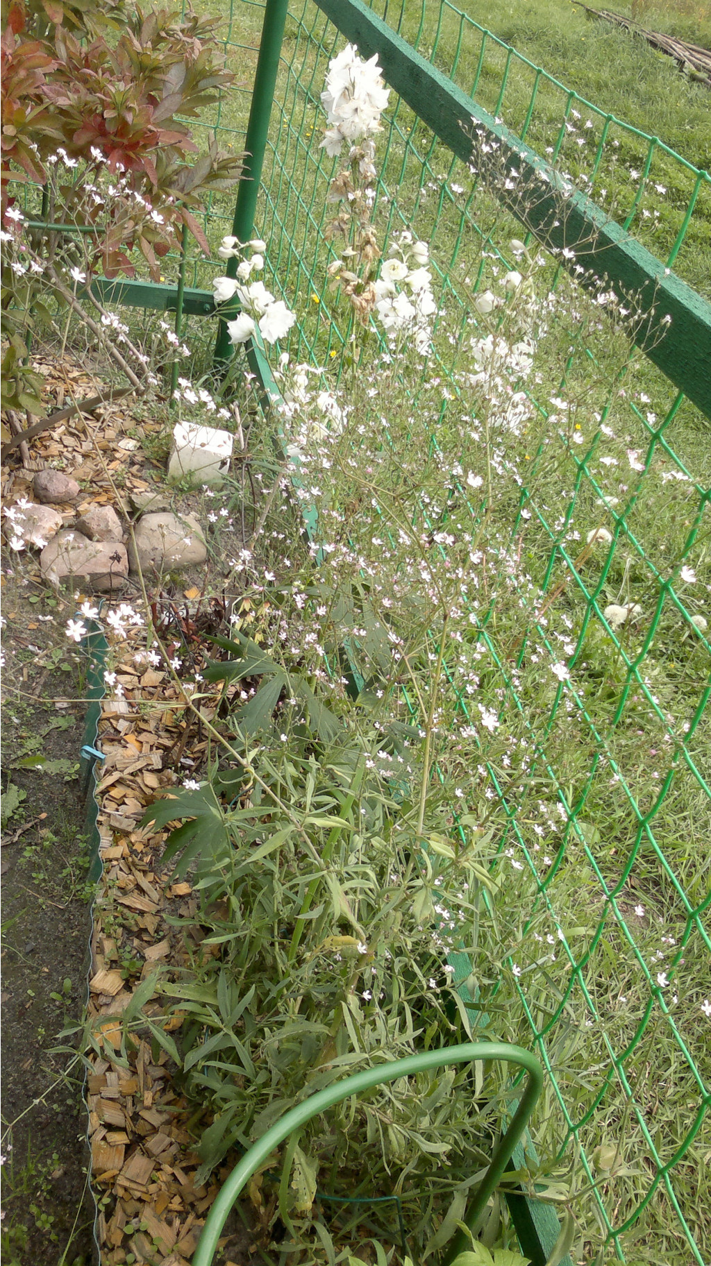 130920143326.jpg