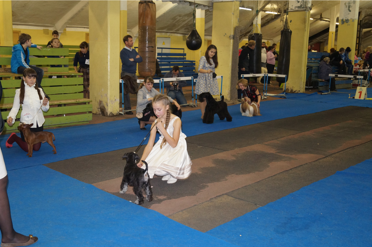 DSC05486.JPG