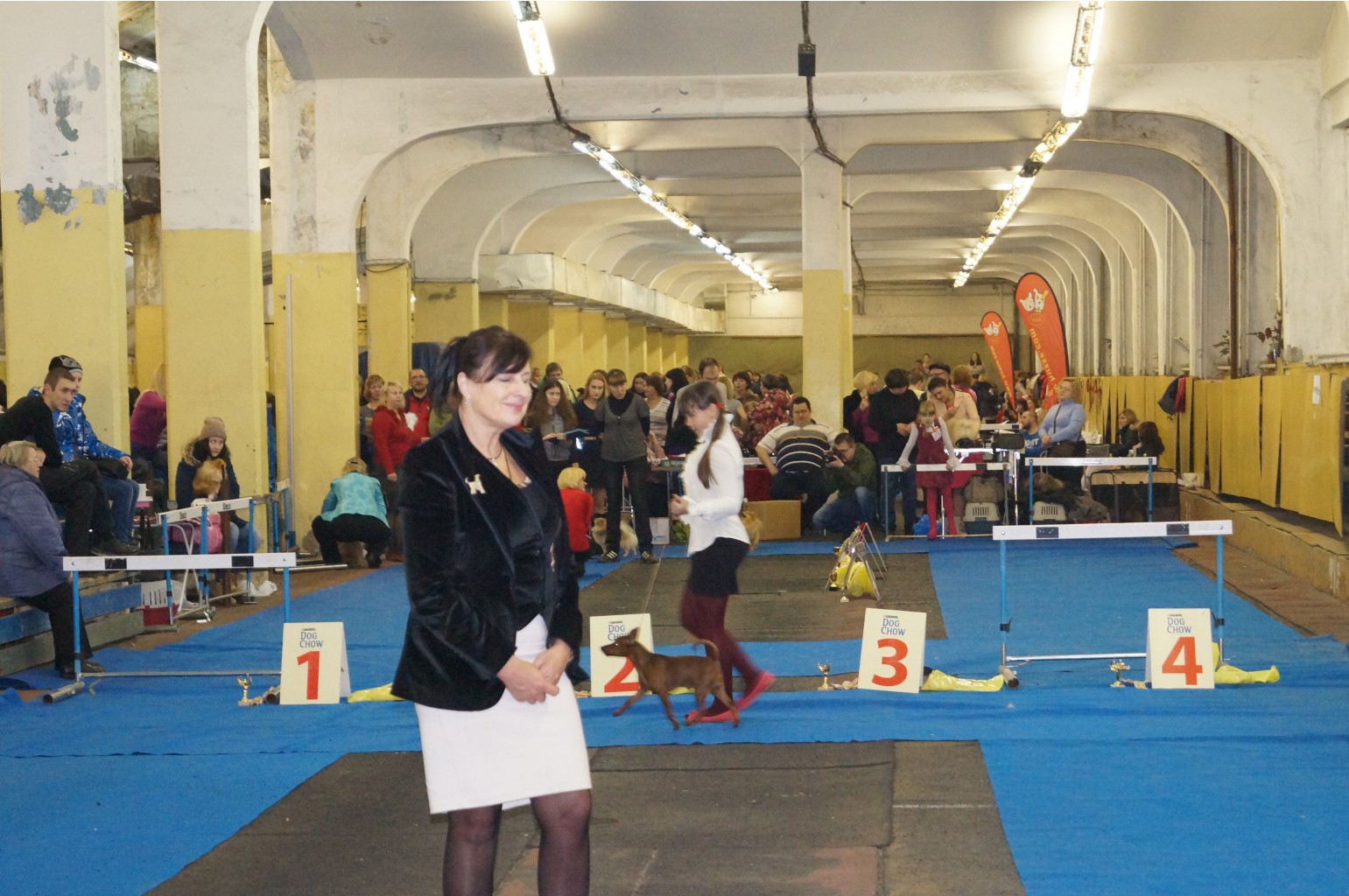 DSC05467.JPG