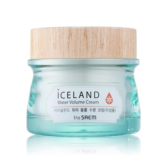 Iceland Hydrating Water Volume Cream(For Oily Skin) зеленый 80мл 876руб.