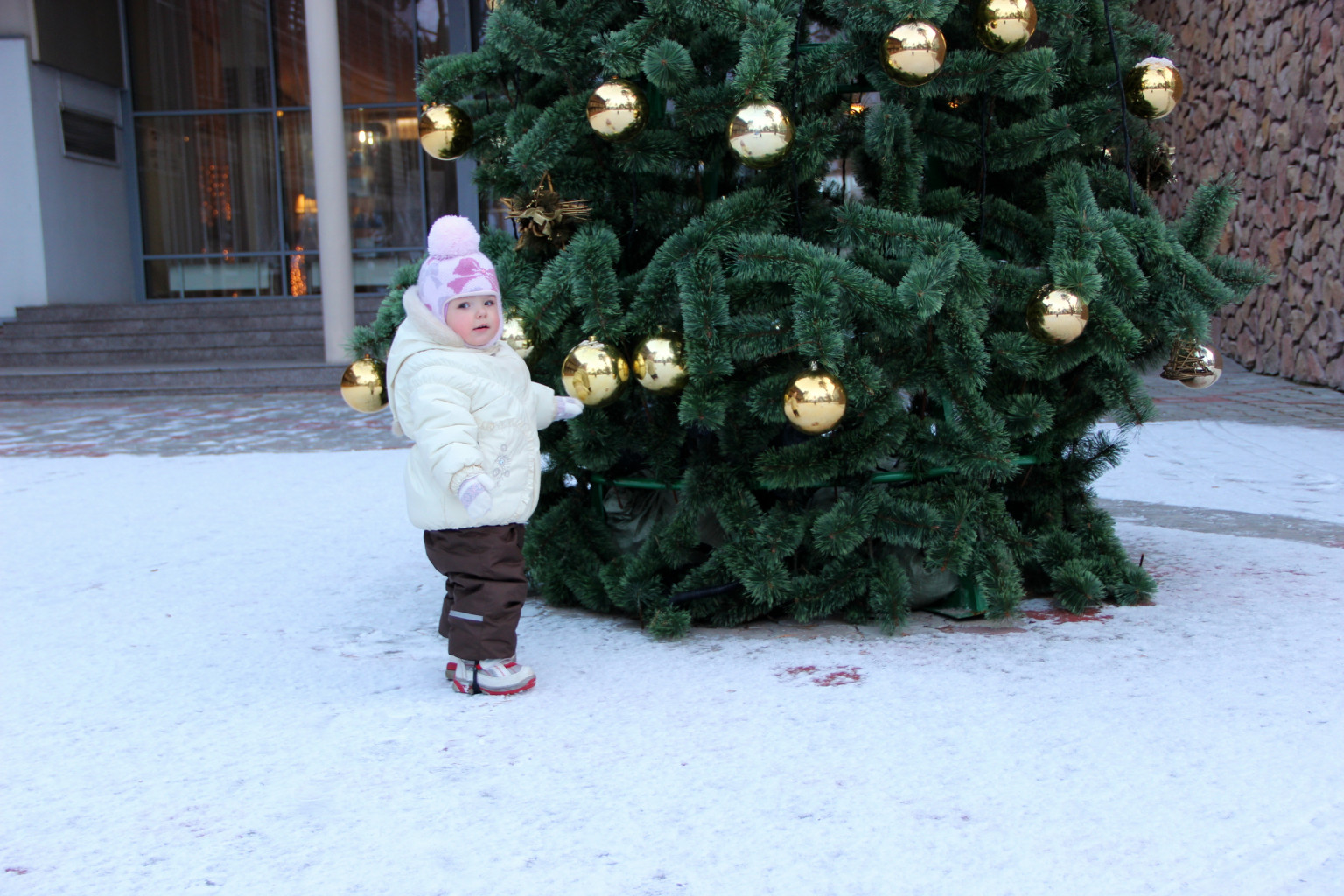 IMG_2987.JPG