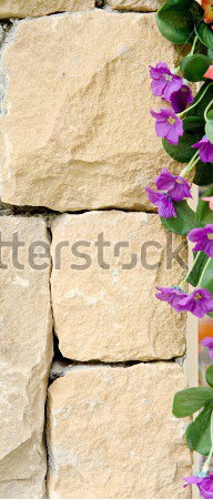 stock-photo-the-new-design-of-modern-wall-with-violet-flower-background-161898488.jpg