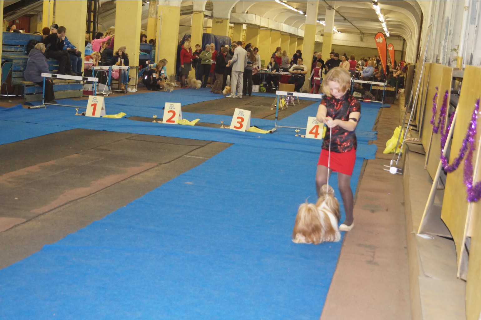 DSC05476.JPG