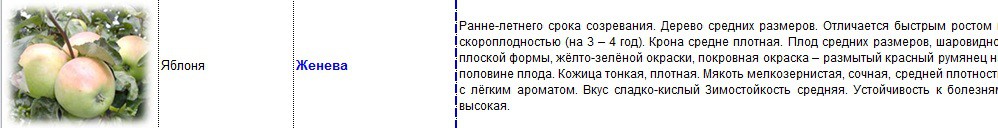 яблоня женева.jpg