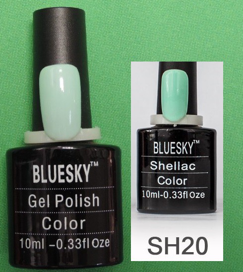 Bluesky SH 20