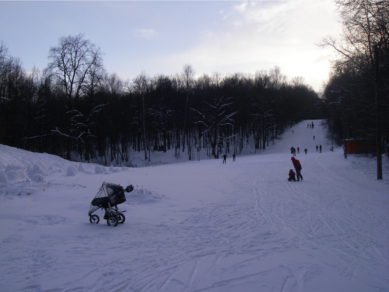 IMGP0821.JPG