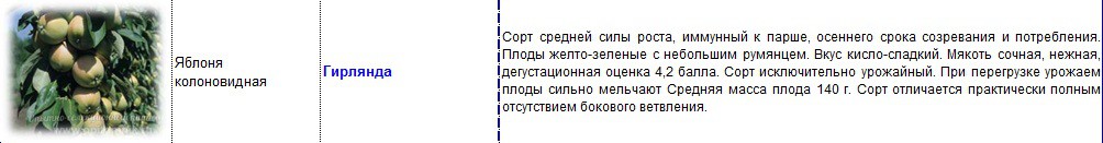 яблоня колоновидная гирлянда.jpg