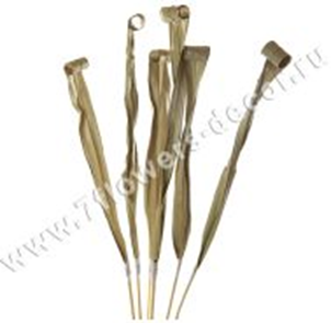 image131 - копия - копия - копия.png