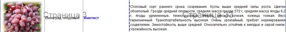виноград плодовый аметист.jpg