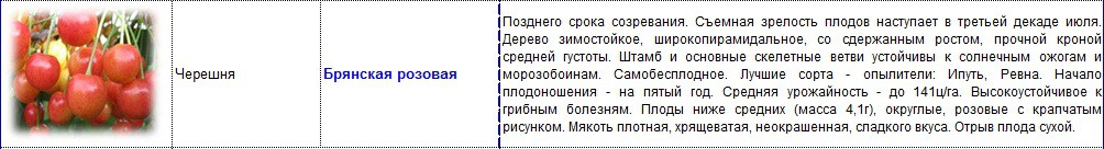 черешня брянская розовая.jpg