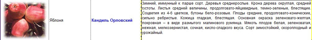 яблоня кандиль орловский.jpg