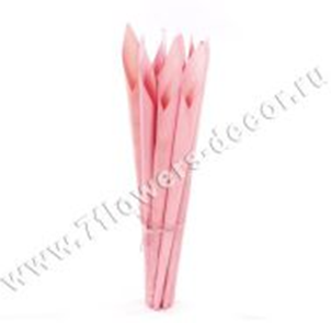 image259 - копия - копия - копия.png