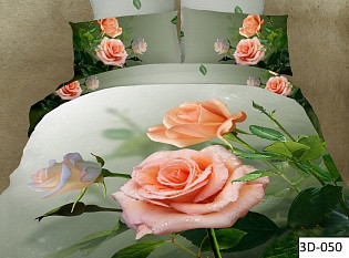 97-169 050  2  3D .jpg