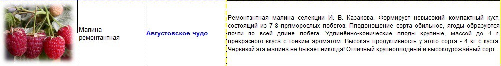 малина августовское чудо.jpg