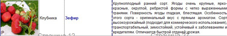 зефир.jpg