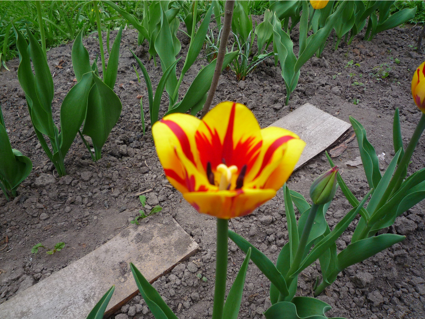 P1050628.JPG