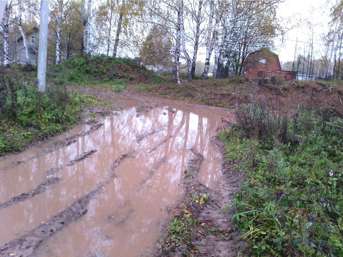 IMG_20131009_101326.jpg