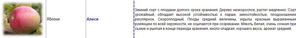 яблоня алеся.jpg
