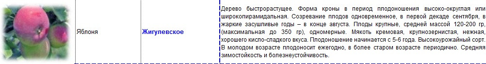 яблоня жигулевское.jpg