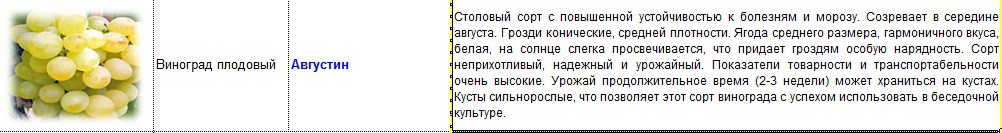 виноград плодовый августин.jpg