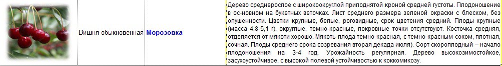 вишня морозовка.jpg