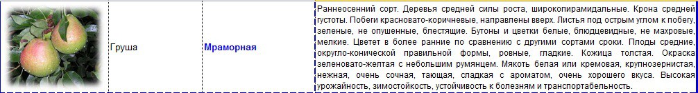 груша мраморная.jpg