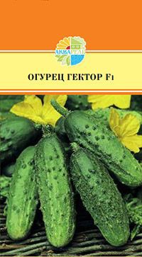 ОГУРЕЦ ГЕКТОР F1_20,50+%