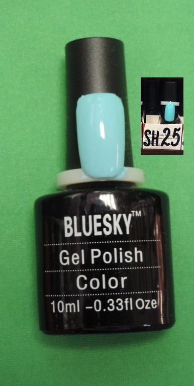 Bluesky SH 25