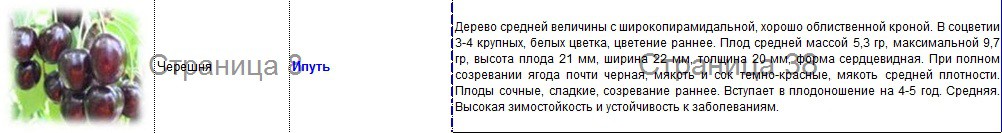 черешня ипуть.jpg