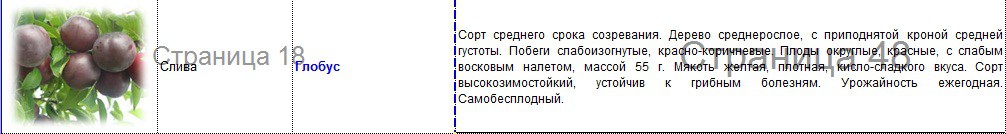 слива глобус.jpg