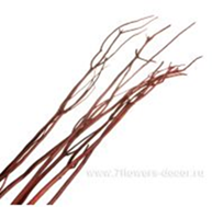 image124 - копия - копия - копия.png