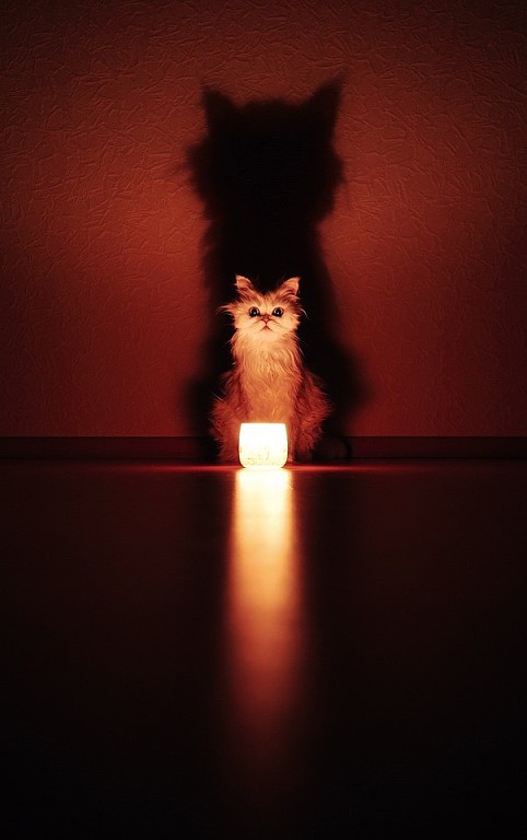 кИС(40).jpg