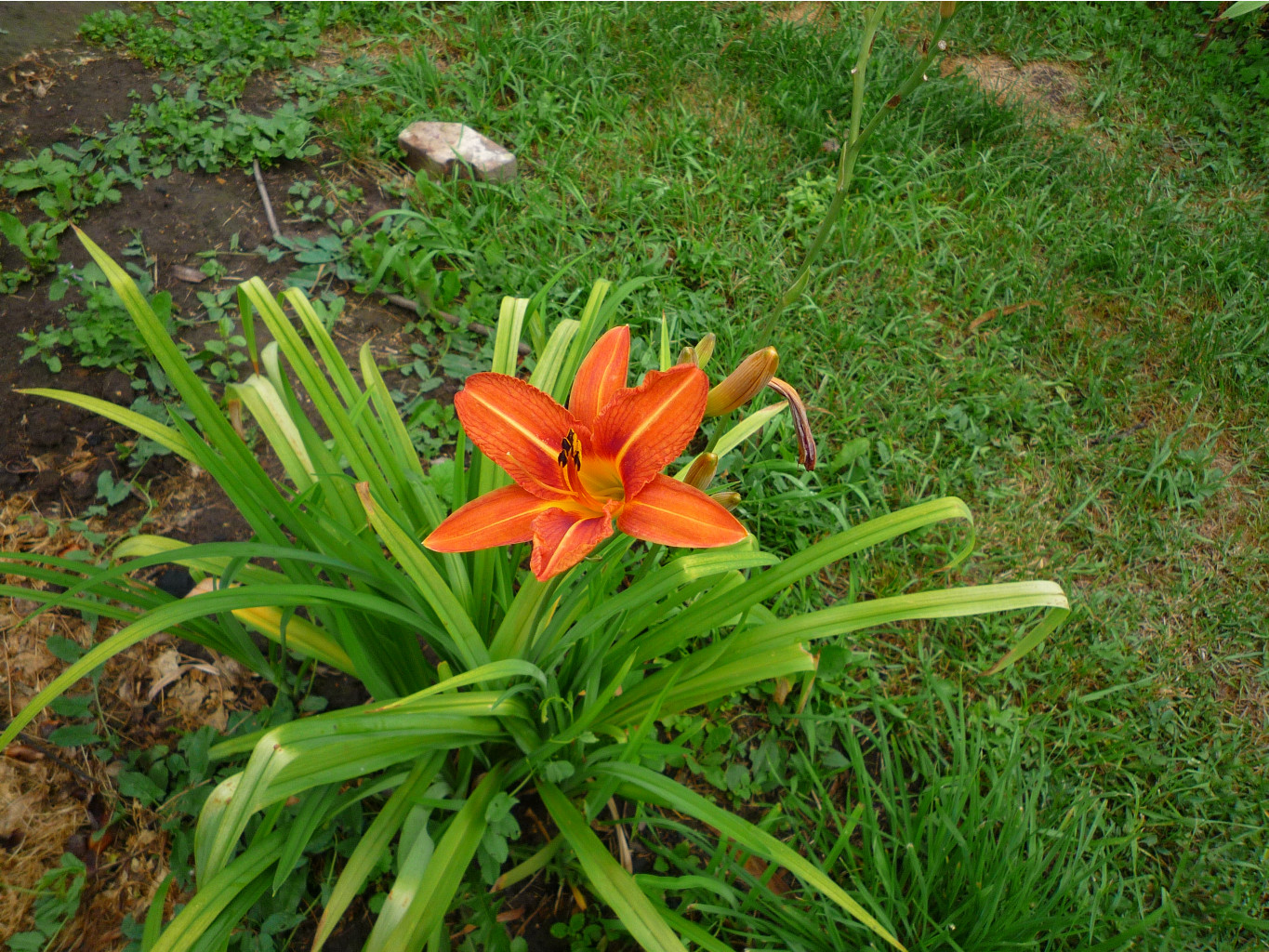 P1050678.JPG