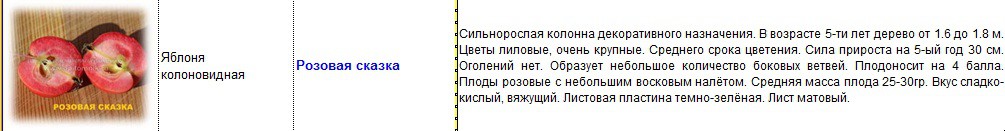 яблоня колоновидная розовая сказка.jpg