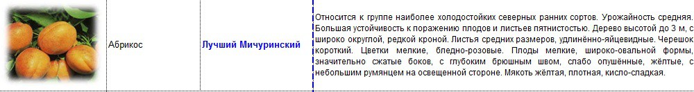 абрикос лучший мичуринский.jpg