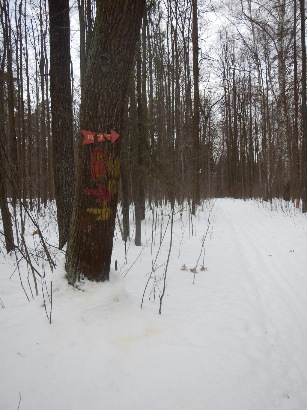 DSCN2484.JPG