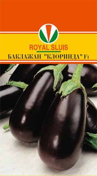 БАКЛАЖАН КЛОРИНДА F1_26,20+%