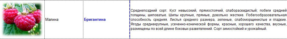 малина бригантина.jpg