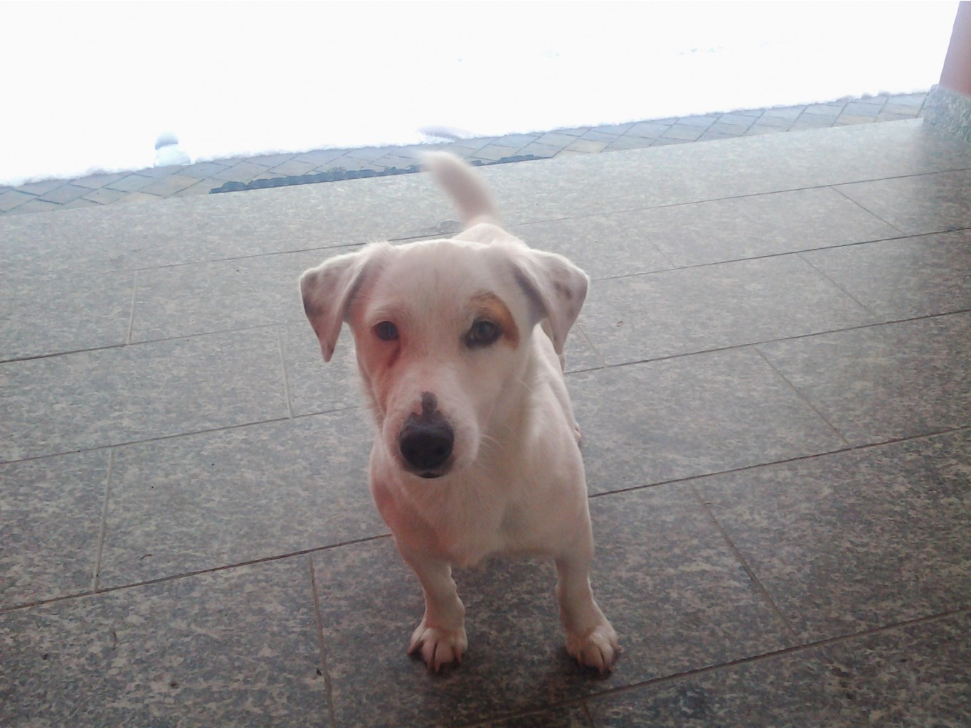 20150122_173017.jpg