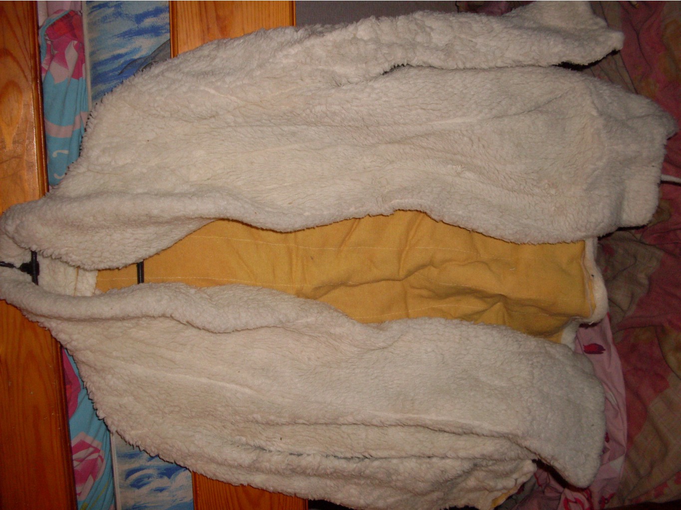 SDC10394.JPG