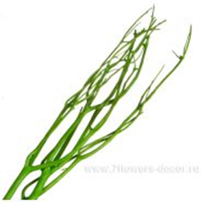image125 - копия - копия - копия.png
