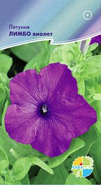 Петуния ЛИМБО виолет_10,00+%