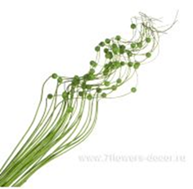 image240 - копия - копия - копия.png