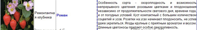 роман.jpg