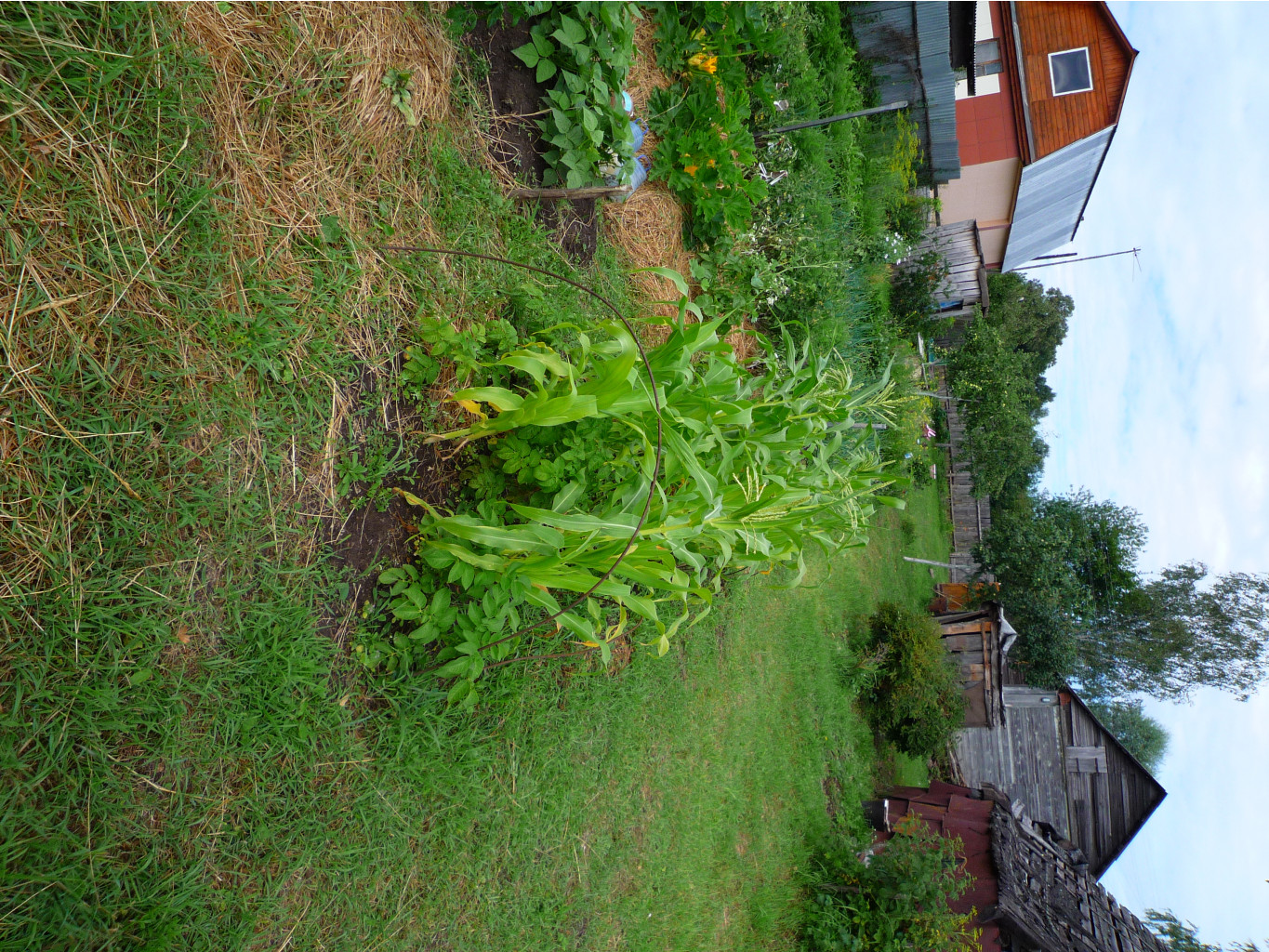 P1050813.JPG