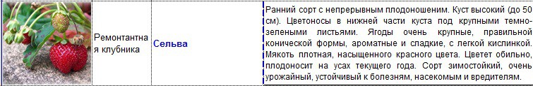 сельва.jpg