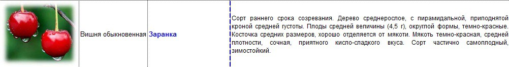 вишня заранка.jpg