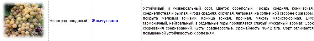 виноград плодовый жемчуг зала.jpg