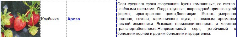 ароза.jpg