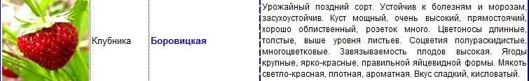 боровицкая.jpg